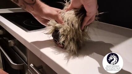 Furry Sextoy From Delices Defendus â Roxy the Playful Dog Gets Fucked Anal and Vaginal