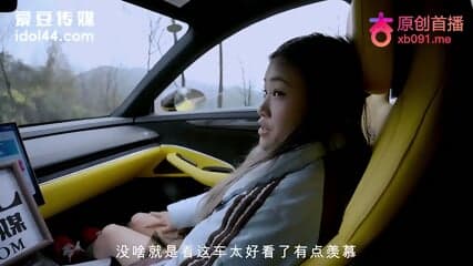 Chinese Amateur Car Sex