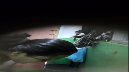 Ngintip Tante Jilbab Mandi Dengan Toket Bulat Yang Lezat