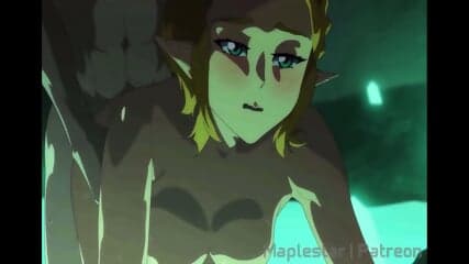 Zelda x Link
