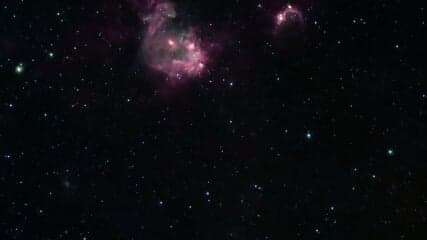 (not porn) ANOUK Everything