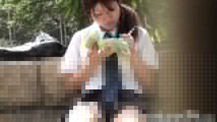 Voyeur cam catches Japanese schoolgirls flashing panties on the step