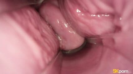 Pussy Close-Up Compilation