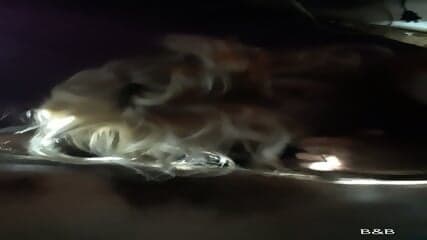 Give me some of that Becky!!! (BJ)