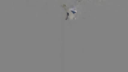 incitamento alla masturbazione