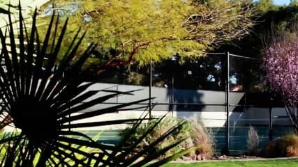 Black couple breaks the ice at the backyard during meet and greet