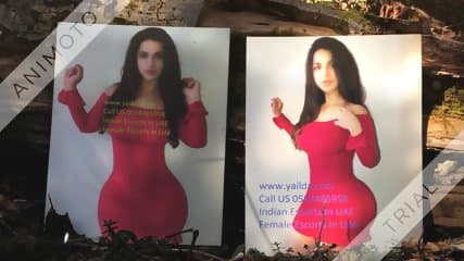 Fujairah Escorts Agency 0554485958 Escorts In Fujairah