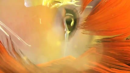 A Fourth Dimension - DLC EX